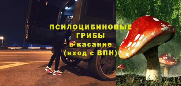 спайс Арсеньев