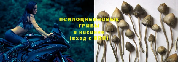 прущие крисы Баксан
